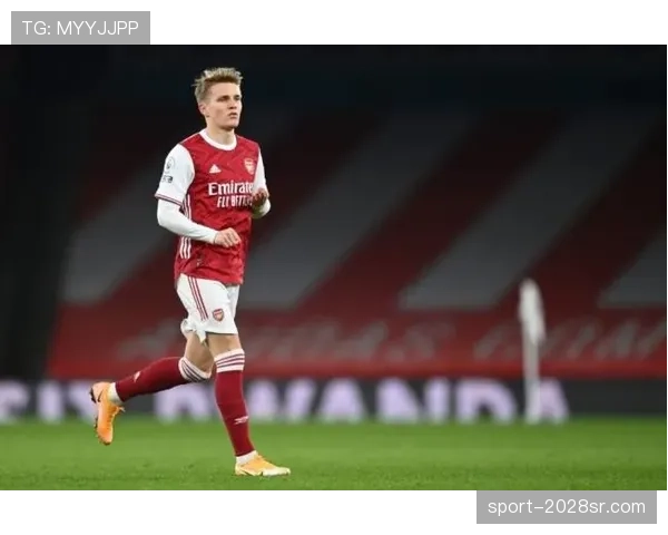 厄德高体系依赖与个人能力的战术适配性差异分析