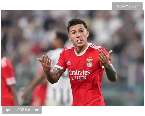 恩佐·费尔南德斯为何能稳居阿根廷国家队主力中场？